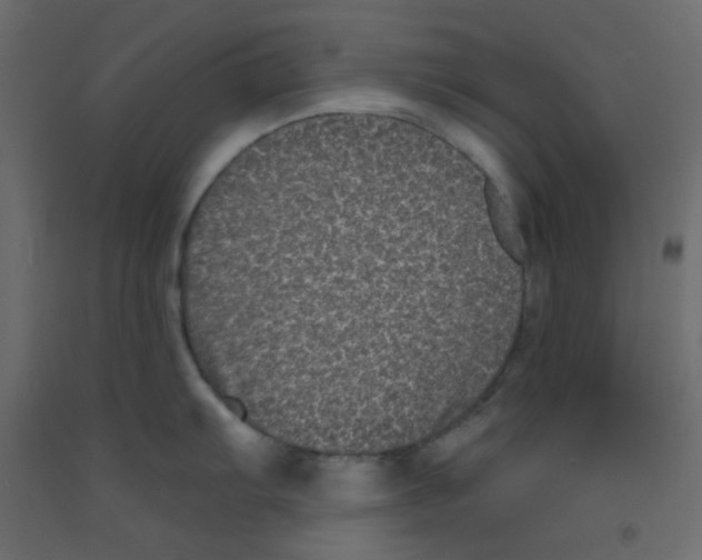 X0000092321103200710121517