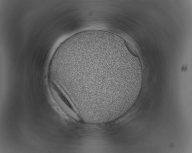 X0000092321104200710121517