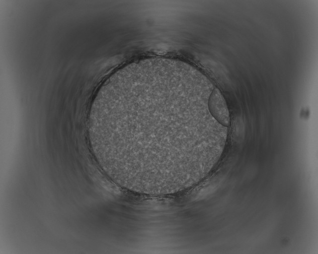 X0000092321105200710121517