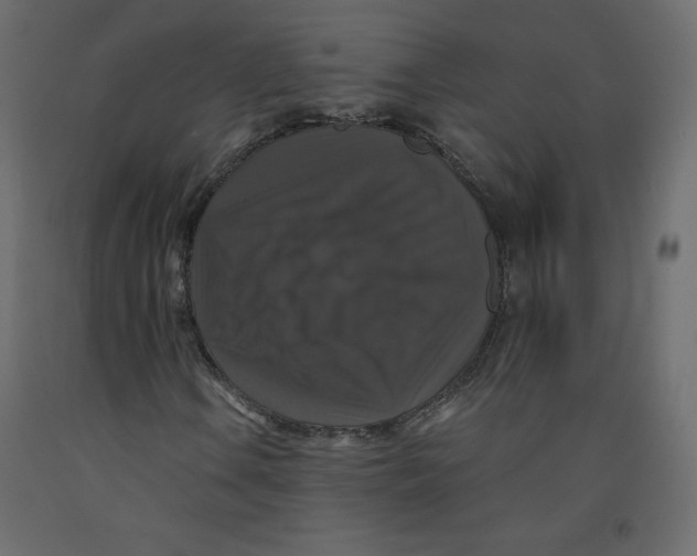X0000092321106200710121517