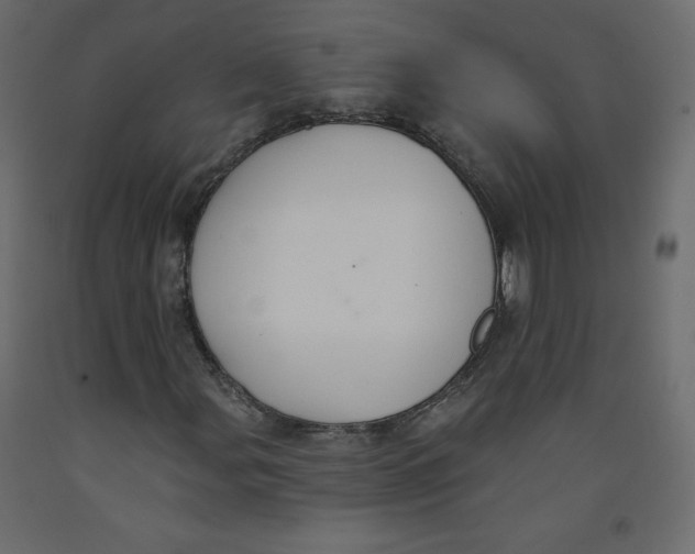 X0000092321107200710121517