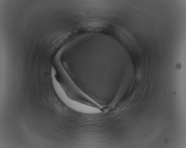 X0000092321108200710121517