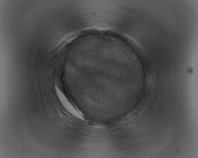 X0000092321110200710121517