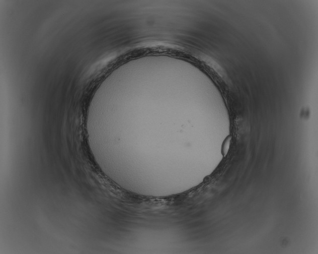 X0000092321111200710121517