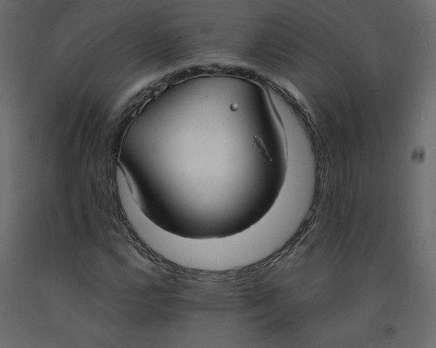 X0000092321112200710121517