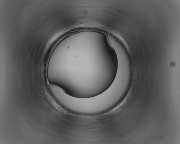 X0000092321114200710121517