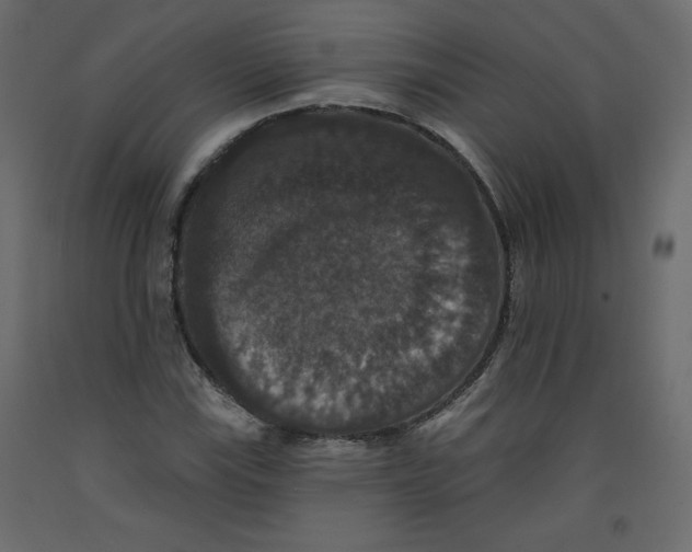 X0000092321115200710121517