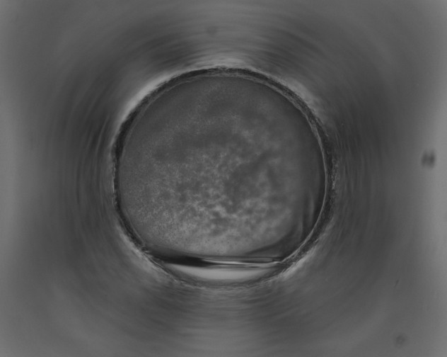 X0000092321118200710121517