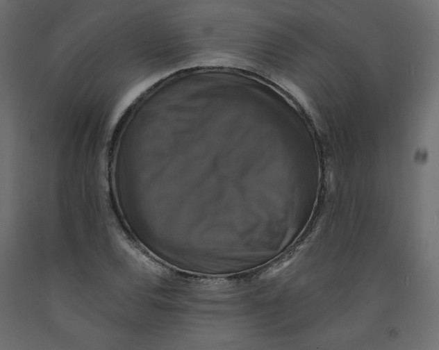 X0000092321120200710121517