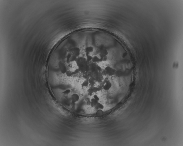 X0000092321121200710121517