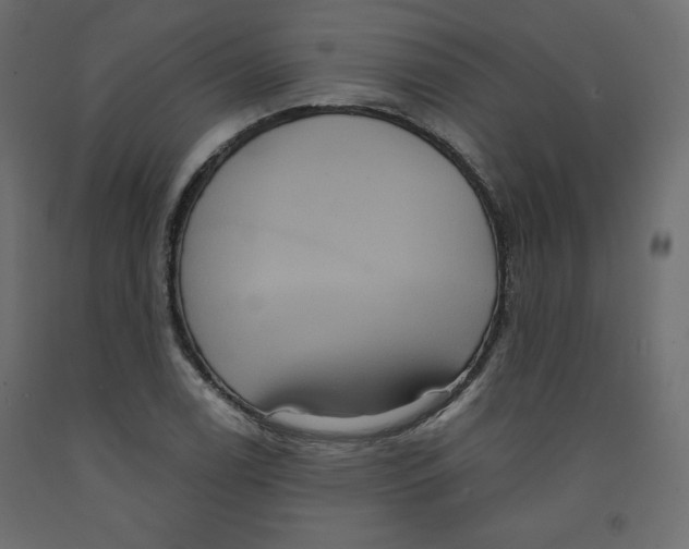 X0000092321122200710121517