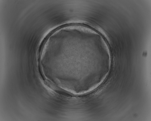 X0000092321124200710121517