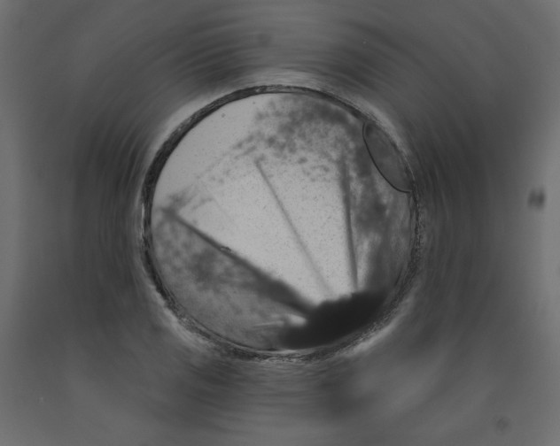 X0000092321125200710121517