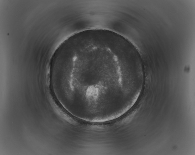 X0000092321126200710121517