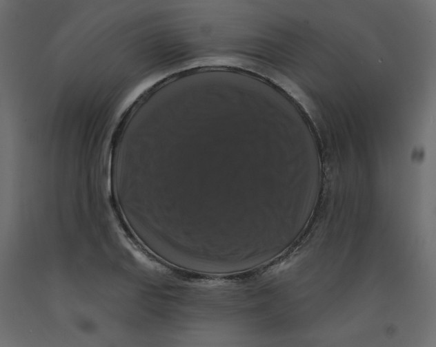 X0000092321127200710121517