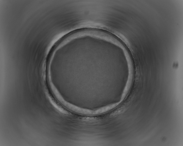 X0000092321128200710121517