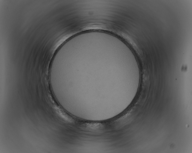 X0000092321129200710121517