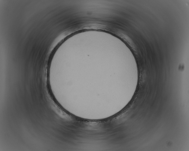 X0000092321130200710121517