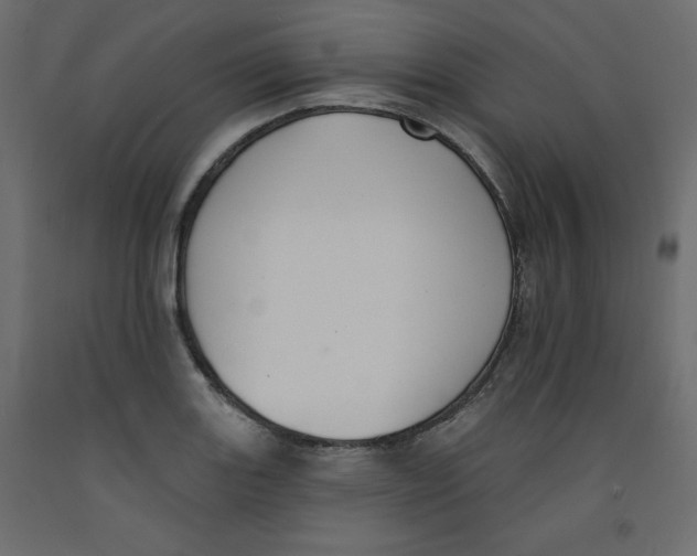 X0000092321131200710121517