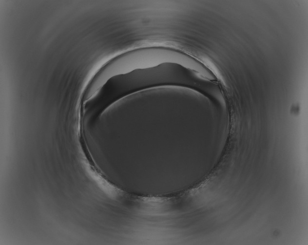 X0000092321132200710121517