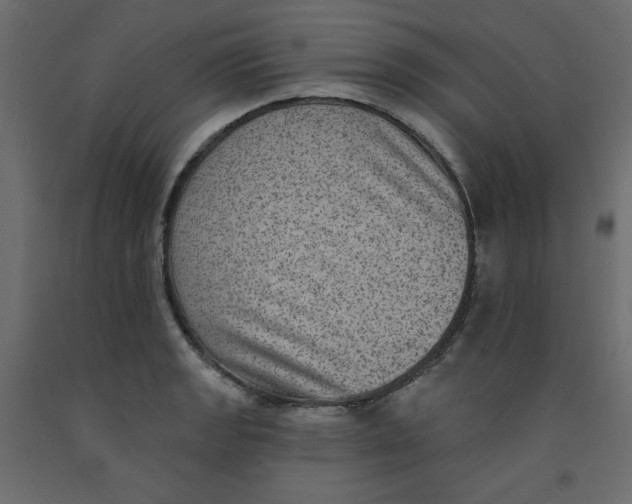 X0000092321133200710121517