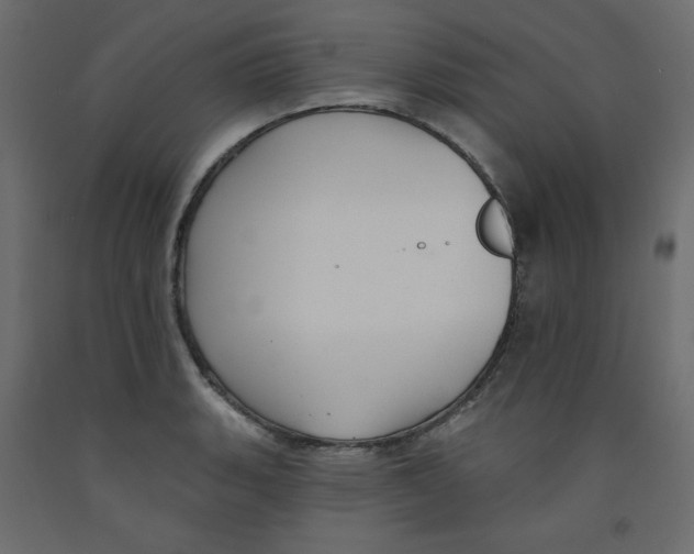 X0000092321135200710121517