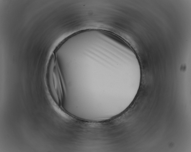 X0000092321136200710121517