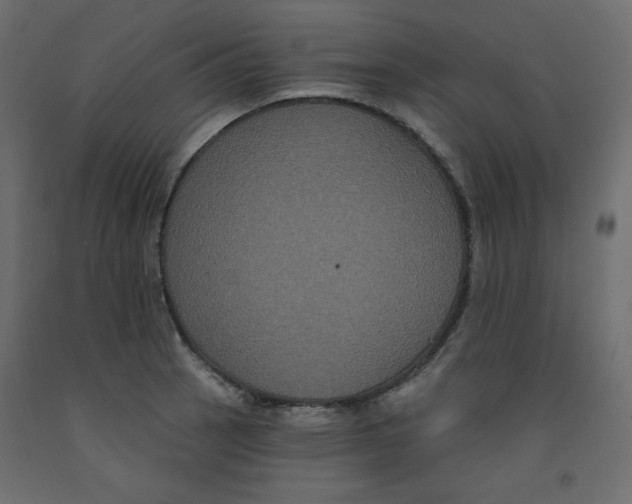 X0000092321137200710121517