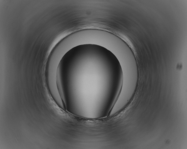 X0000092321138200710121517