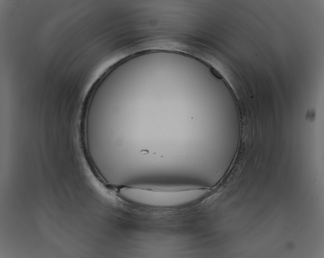 X0000092321139200710121517