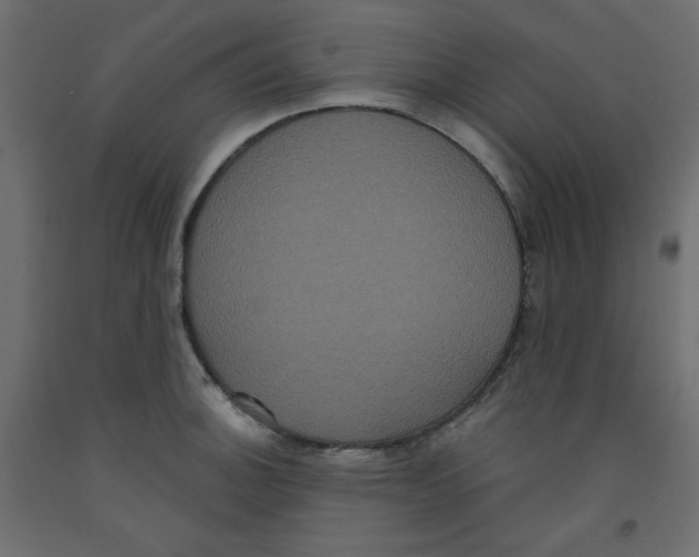 X0000092321140200710121517