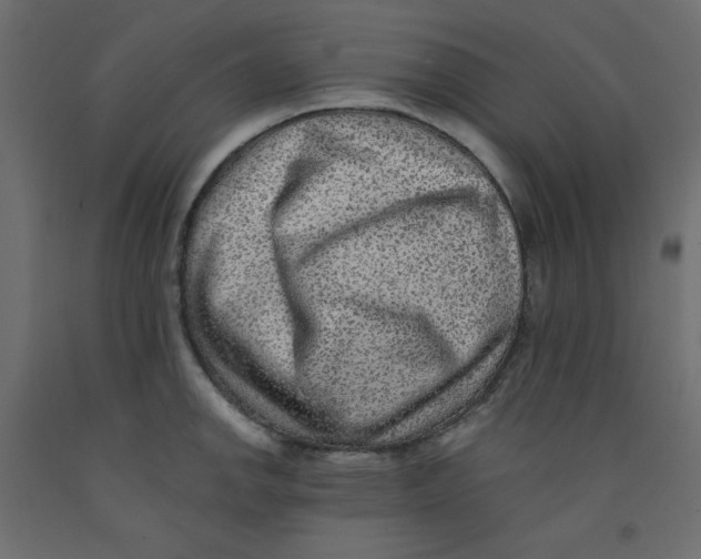 X0000092321142200710121517
