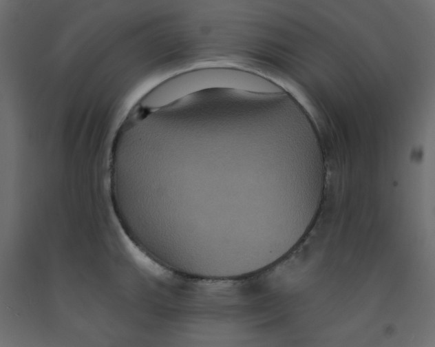 X0000092321143200710121517