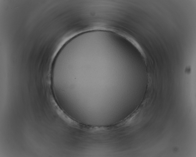 X0000092321148200710121517
