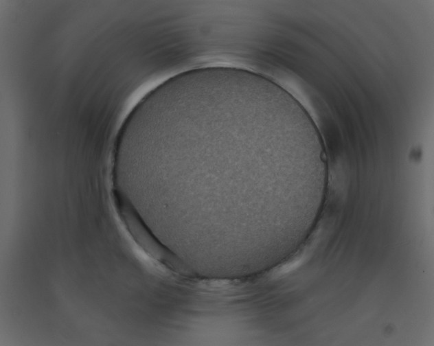 X0000092321149200710121517