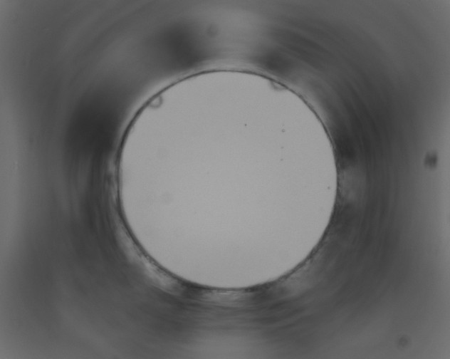 X0000092321150200710121517
