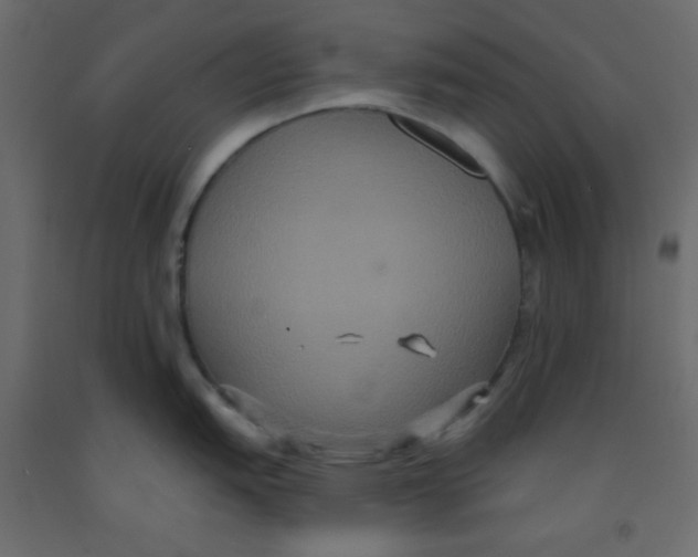 X0000092321151200710121517