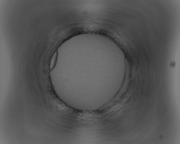 X0000092321153200710121517