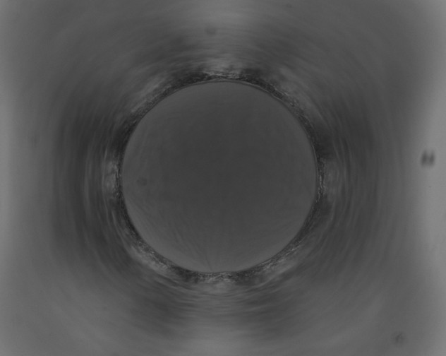 X0000092321154200710121517