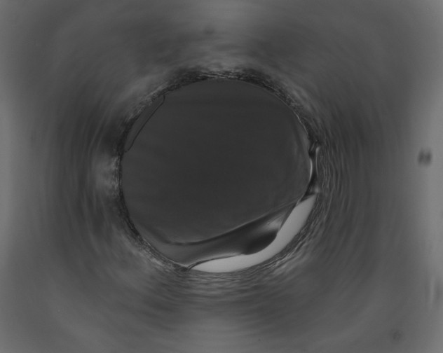 X0000092321156200710121517