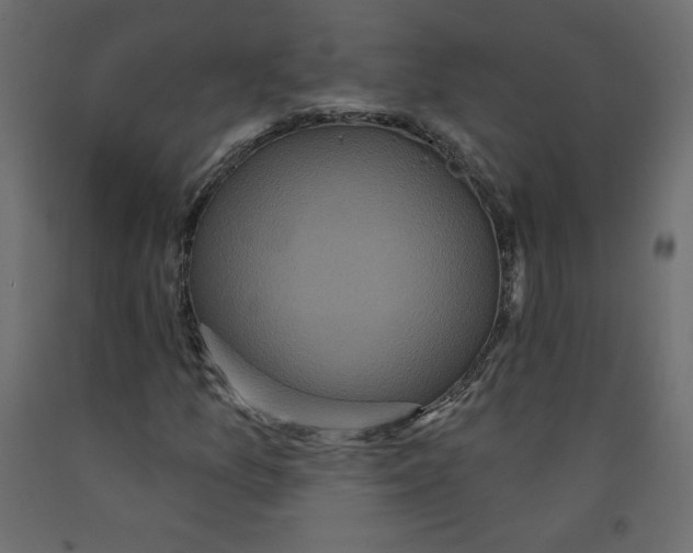 X0000092321157200710121517