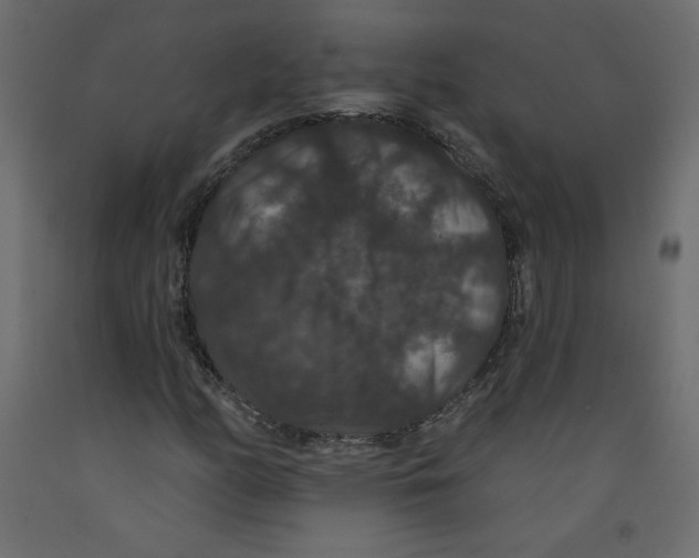 X0000092321158200710121517