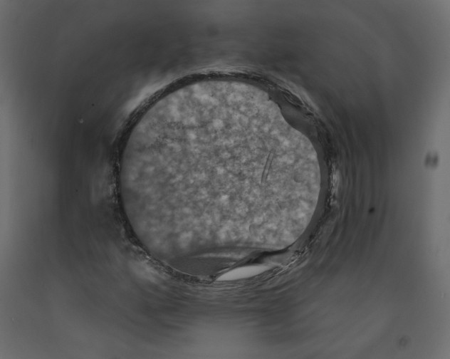 X0000092321160200710121517