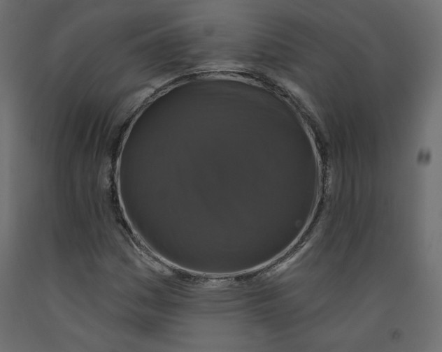 X0000092321161200710121517