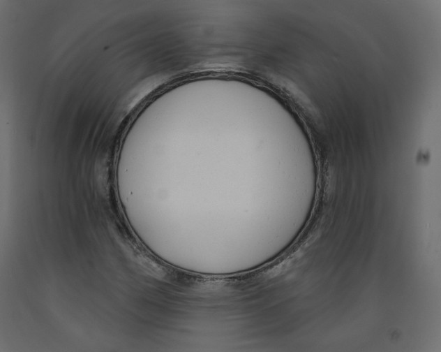 X0000092321162200710121517