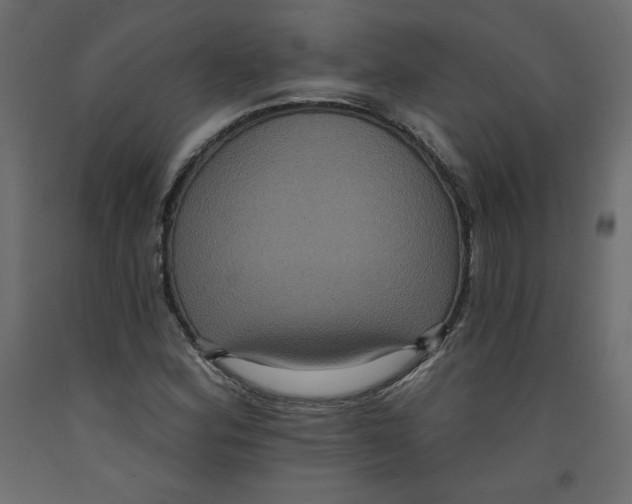 X0000092321164200710121517