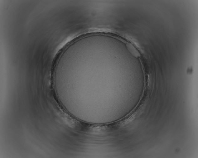 X0000092321165200710121517
