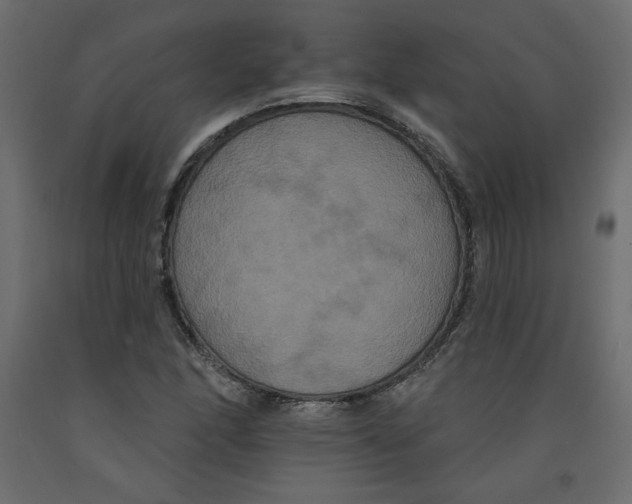 X0000092321166200710121517