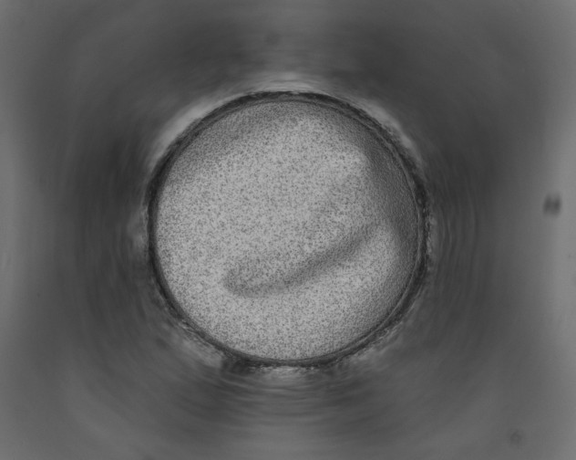 X0000092321167200710121517