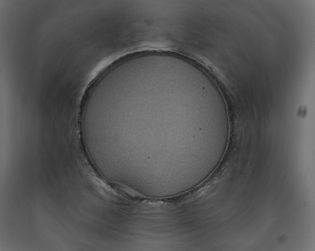 X0000092321168200710121517